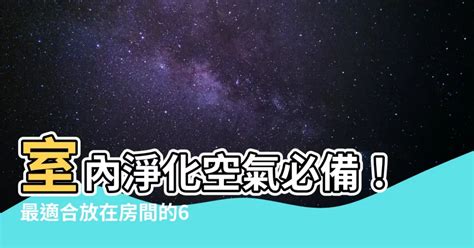 臥室淨化空氣植物|房間適合放什麼植物？8款能淨化空氣、過濾毒素的室。